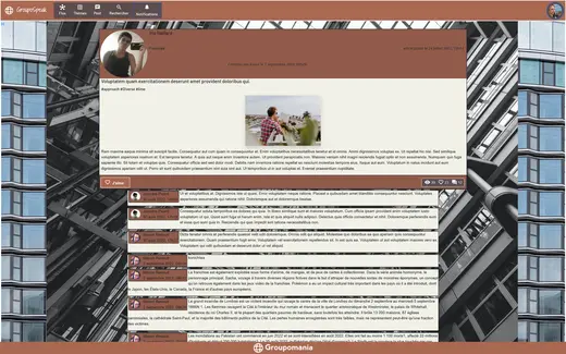Vue détaillée d'un post du projet Groupomania sur desktop